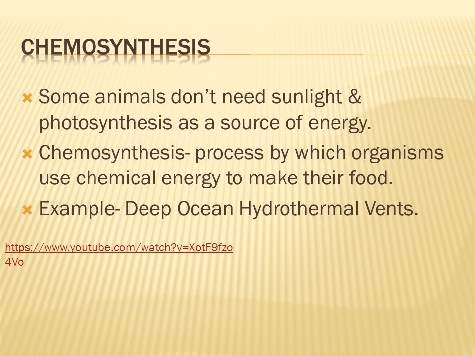 What is Chemosynthesis?